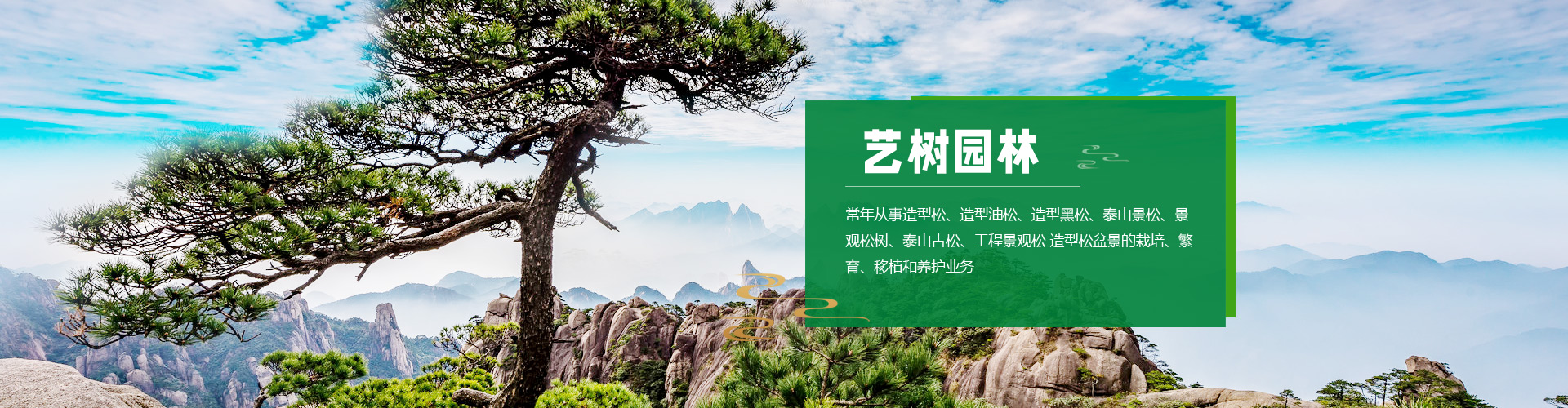 泰安市天正檢測(cè)中心有限公司